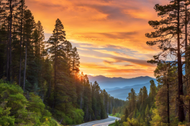 7 Unforgettable Road Trips Across the United States